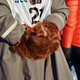 A musher’s assistant keeps warm, waiting for his work to begin.